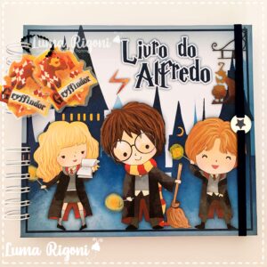Livro do Bebê Harry Potter