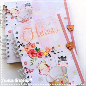 Combo Livro do Bebê + Caderneta de Vacina Animais Baloeiros