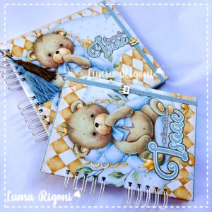 Combo Livro do Bebê + Caderneta de Vacina Urso Príncipe