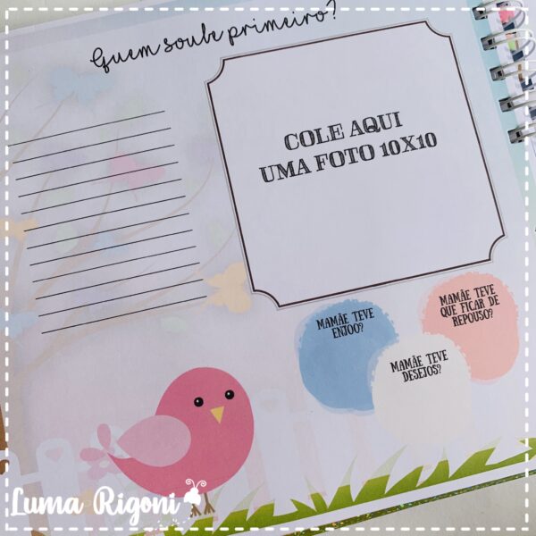 Livro do Bebê Passarinho - Imagem 4