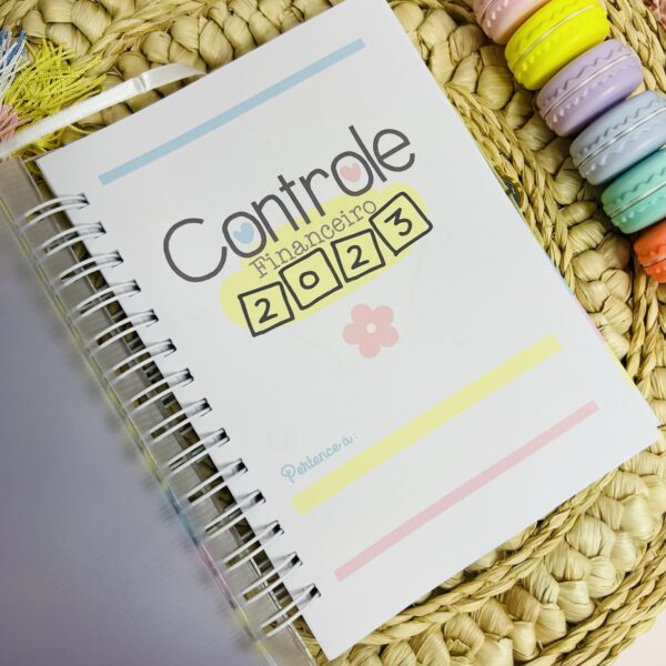 Controle Financeiro - Imagem 3