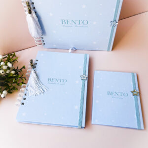 Combo  Livro do Bebê + Caderneta de Vacina + Mini Porta Documentos Azul Bebê com Estrelas