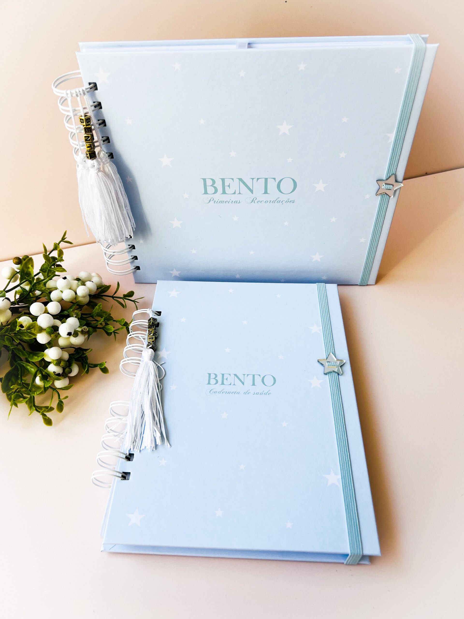 Combo Livro do Bebê + Caderneta de Vacina Azul Bebê com Estrelas