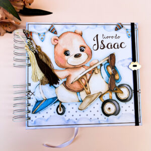 Livro do Bebê Urso Aviador