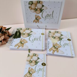 Combo Caixa + Livro do Bebê + Caderneta Urso Baloeiro Verde