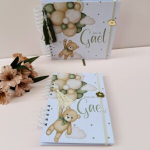 Combo Livro do Bebê + Caderneta de Vacina Ursinho Baloeiro Verde