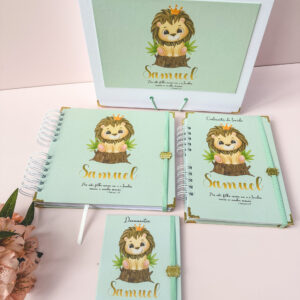 Combo Caixa + Livro do Bebê + Caderneta Leãozinho