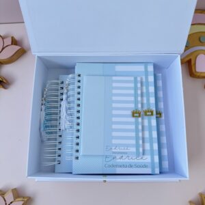 Combo Caixa + Livro do Bebê + Caderneta - Listra Azul
