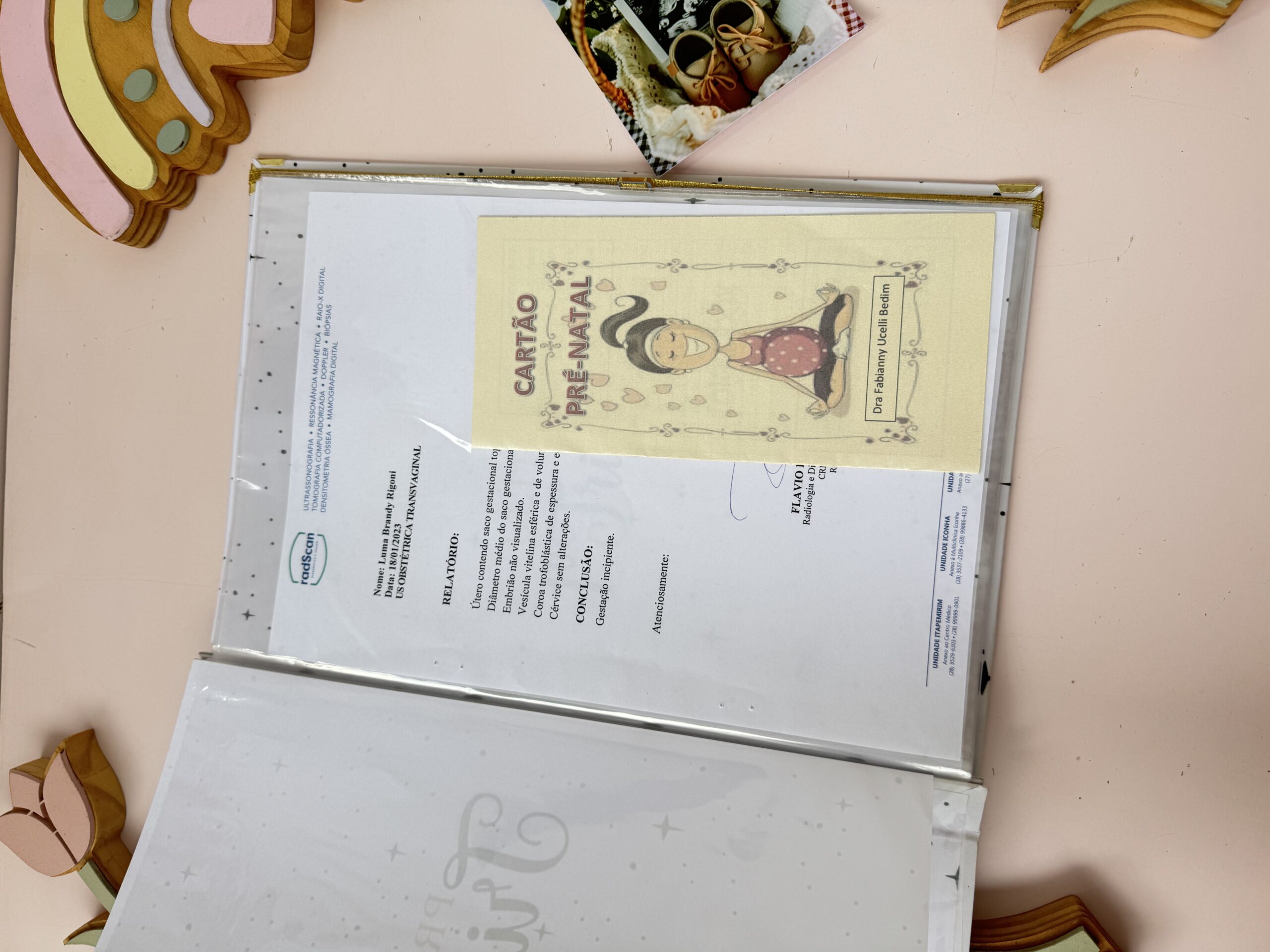 Porta Documentos + Caderneta Gestante - Imagem 3